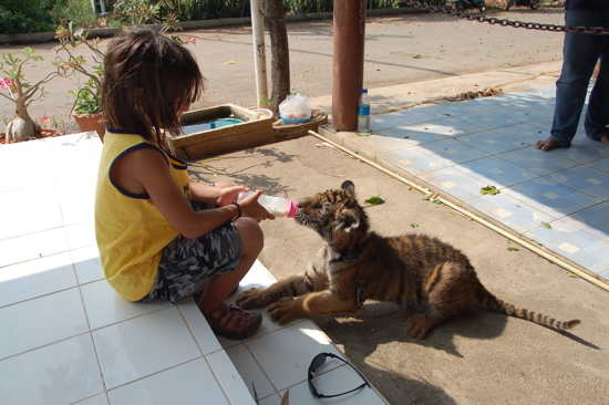 Au Safari Park avec Hang
