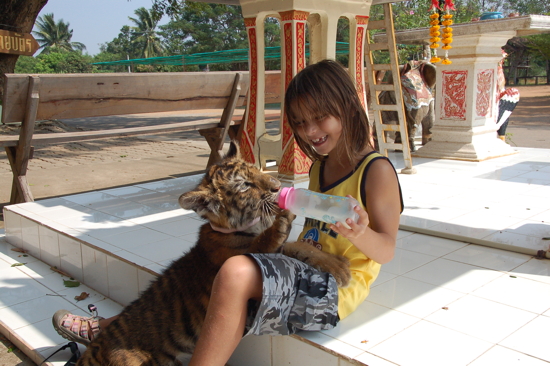 Au Safari Park avec Hang