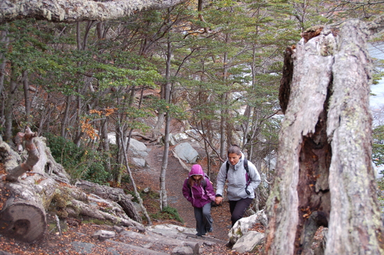 Marche sur le sentier côtier du Parc National de Terre de Feu