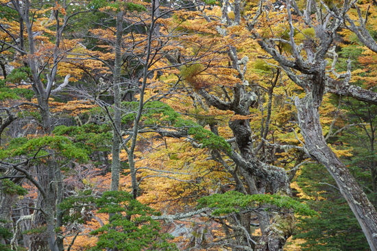 Belles couleurs d'automne