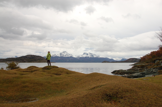 Au Parc National de Terre de Feu