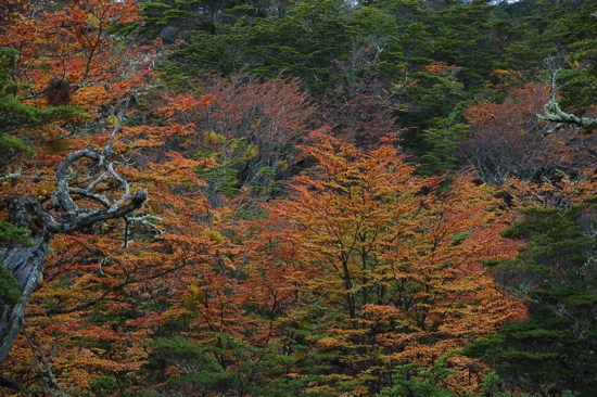 Belles couleurs d'automne