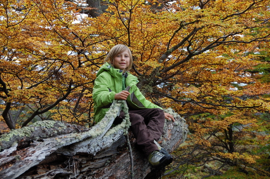 Au Parc National de Terre de Feu