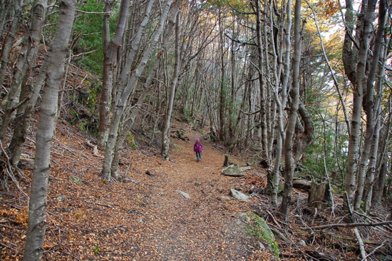 Au Parc National de Terre de Feu