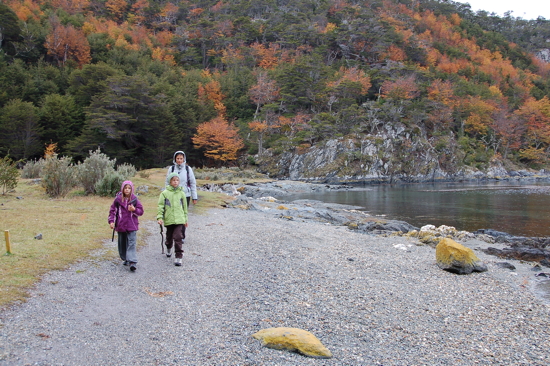 En bordure de la baie de Lapataia