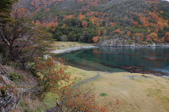 Dans la baie de Lapataia