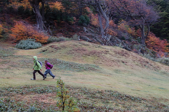 Au Parc National de Terre de Feu