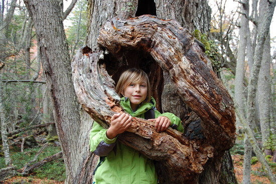 Au Parc National de Terre de Feu
