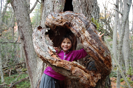 Au Parc National de Terre de Feu