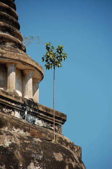 Ayutthaya, au Wat Phra Si Sanphet