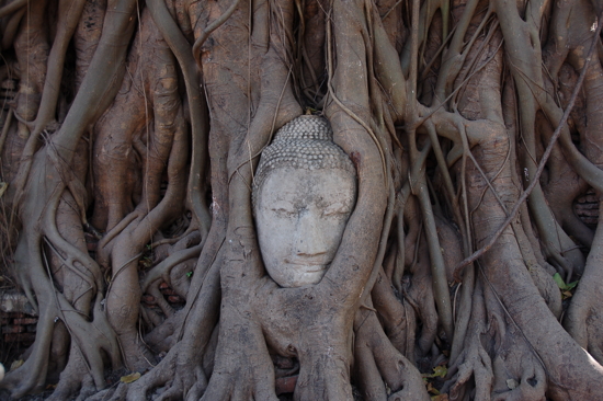 Ayutthaya, au Wat Phra Mahathat