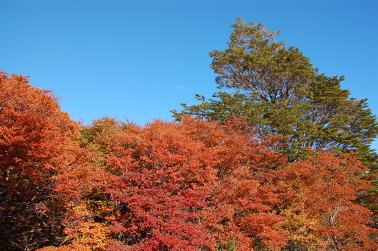 Couleurs d'automne