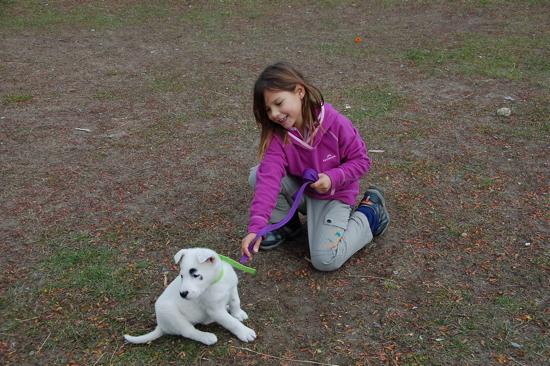 Leïla aime décidément de plus en plus les chiens