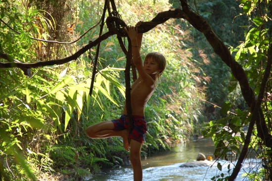 Un singe ou un trapéziste?