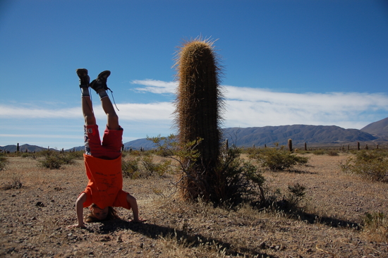Sur les traces de papa ;-)