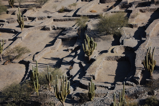 Ruines de Quilmes