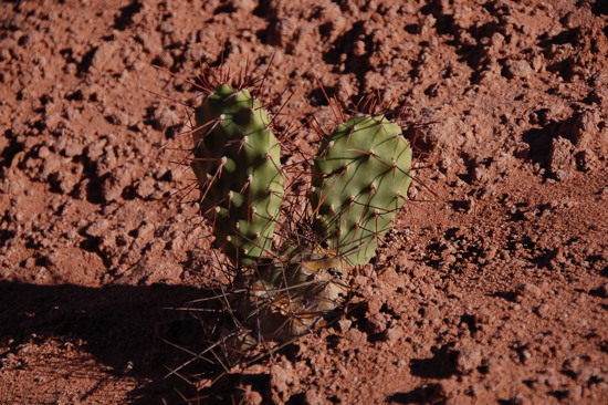 On a retrouvé Mickey ;-)