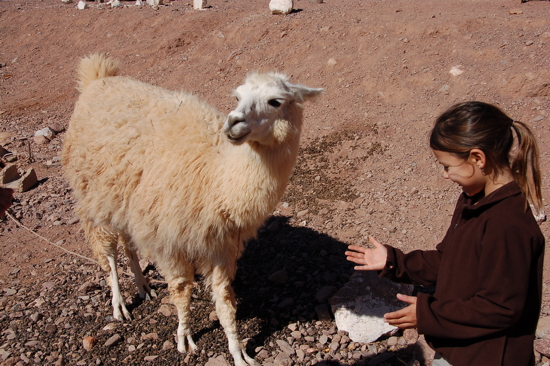 Tout le monde sourit...