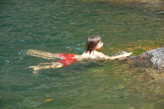 A Cunca Rami (Flores)