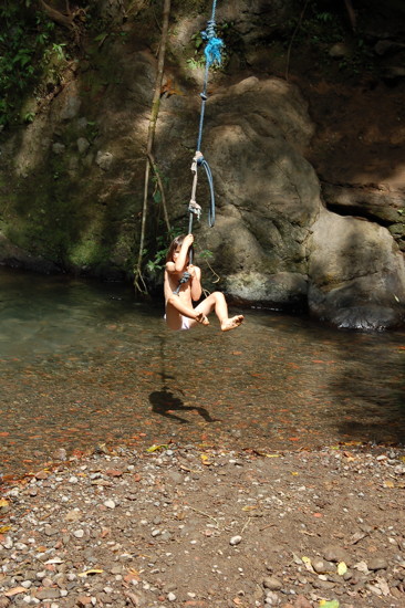 Tarzan aux cascades de Gitgit