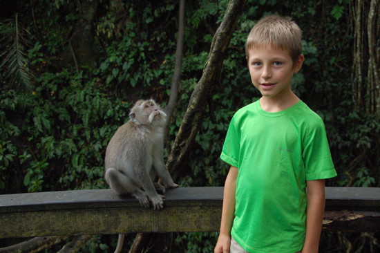 Au Monkey Forest Sanctuary d'Ubud