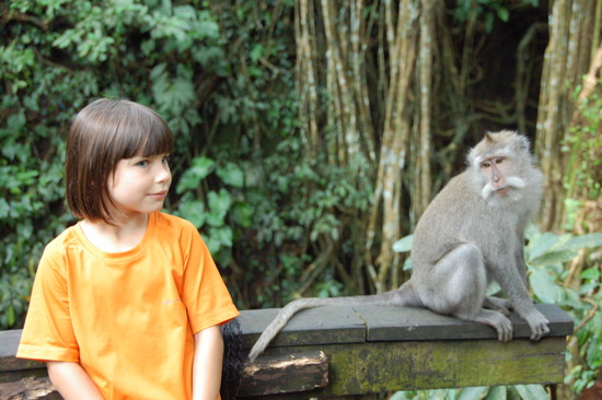 Au Monkey Forest Sanctuary d'Ubud