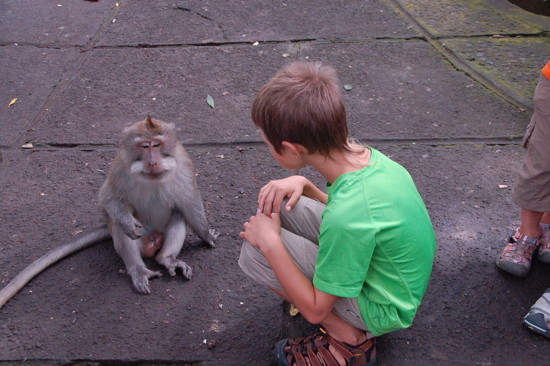 Au Monkey Forest Sanctuary d'Ubud