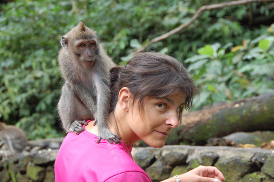 Au Sacred Monkey Forest Sanctuary à Ubud