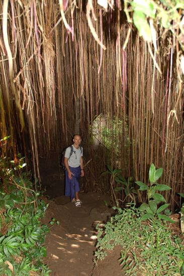 Randonnée-"aventure" dans la "jungle"