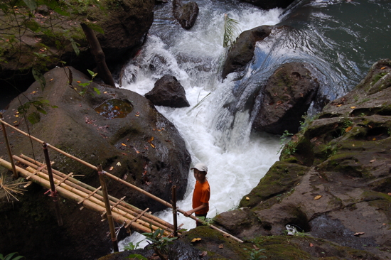 Randonnée-"aventure" dans la "jungle"