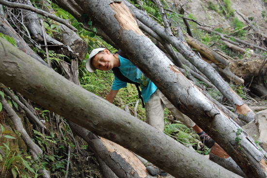 Sur les flancs du Merapi
