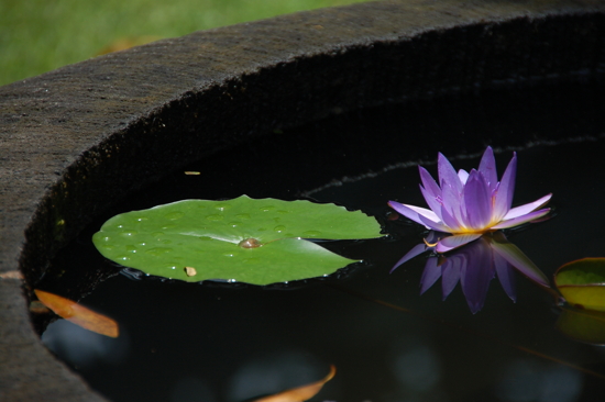 Hort Park (Singapore)