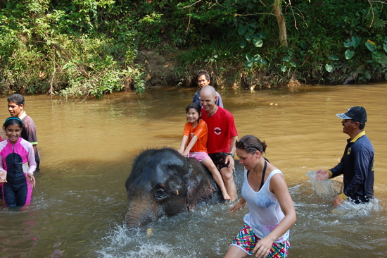 Bain avec les éléphants