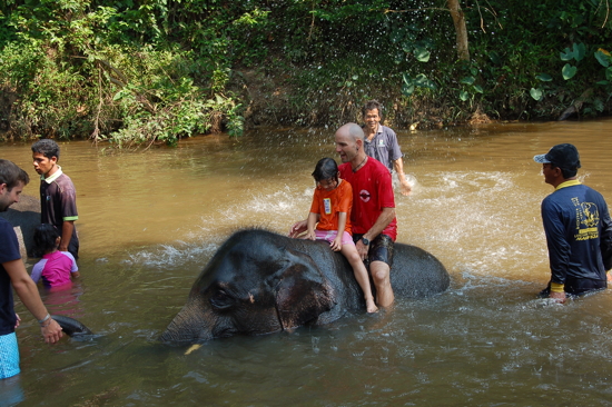 Le bain avec les éléphants