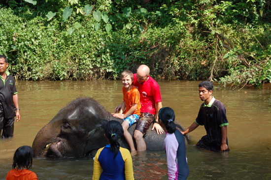 Bain avec les éléphants