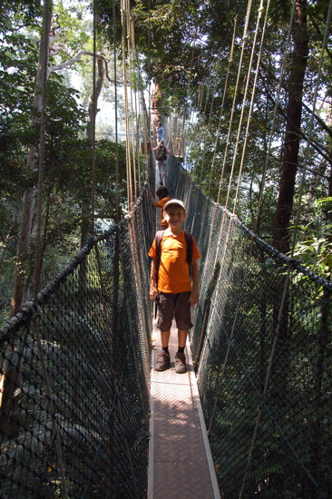 Canopy Walk Taman Negara