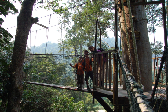 Canopy Walk de Taman Negara