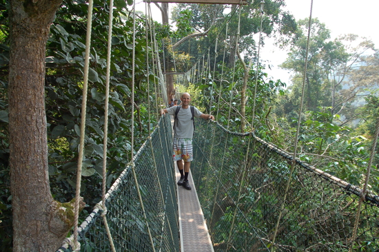Canopy Walk de Taman Negara (avec les chaussettes anti-sangsues...)