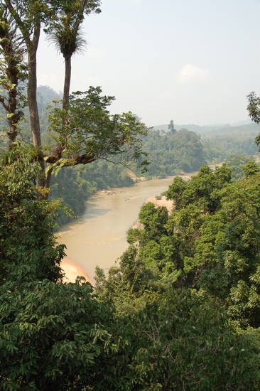 Vue depuis la Canopy Walk de Taman Negara