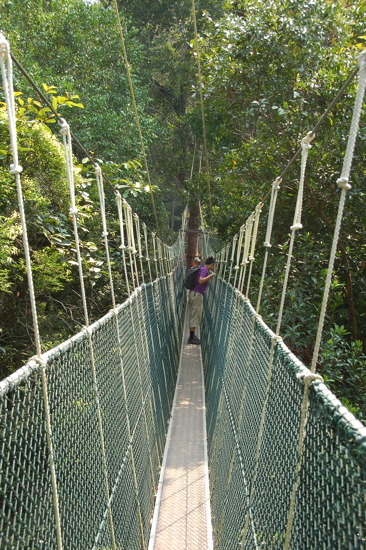 Canopy Walk de Taman Negara