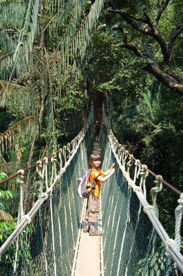 Canopy Walk Taman Negara