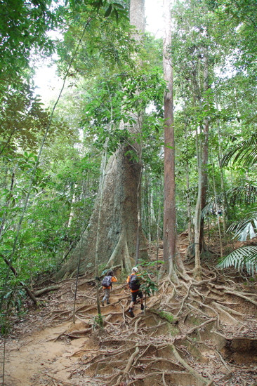 L'ascension de la colline