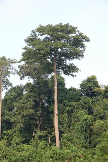 En descendant la rivière