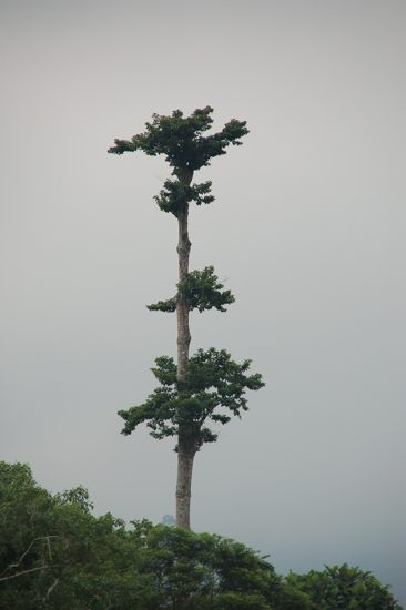 En descendant la rivière