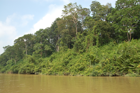 En descendant la rivière