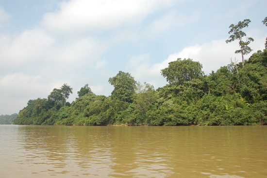 En descendant la rivière