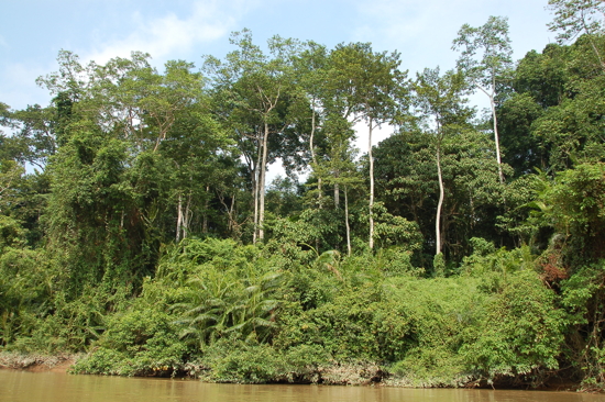 En descendant la rivière